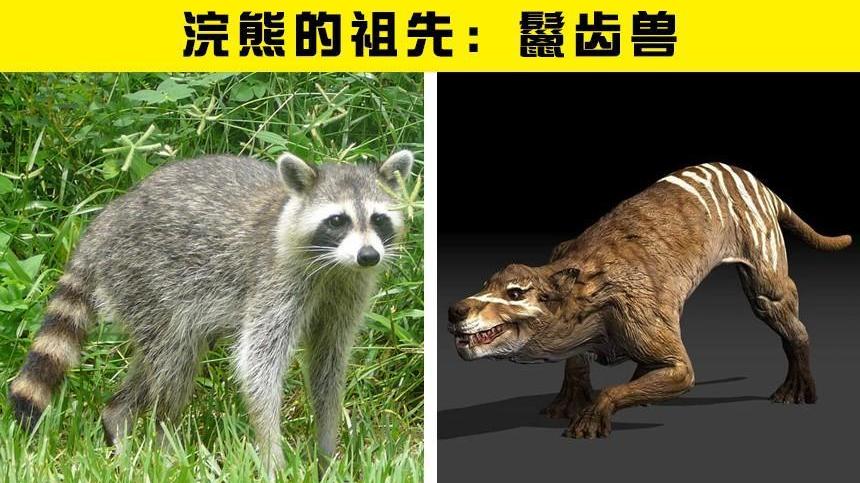 7种现代动物与史前祖先的大对比