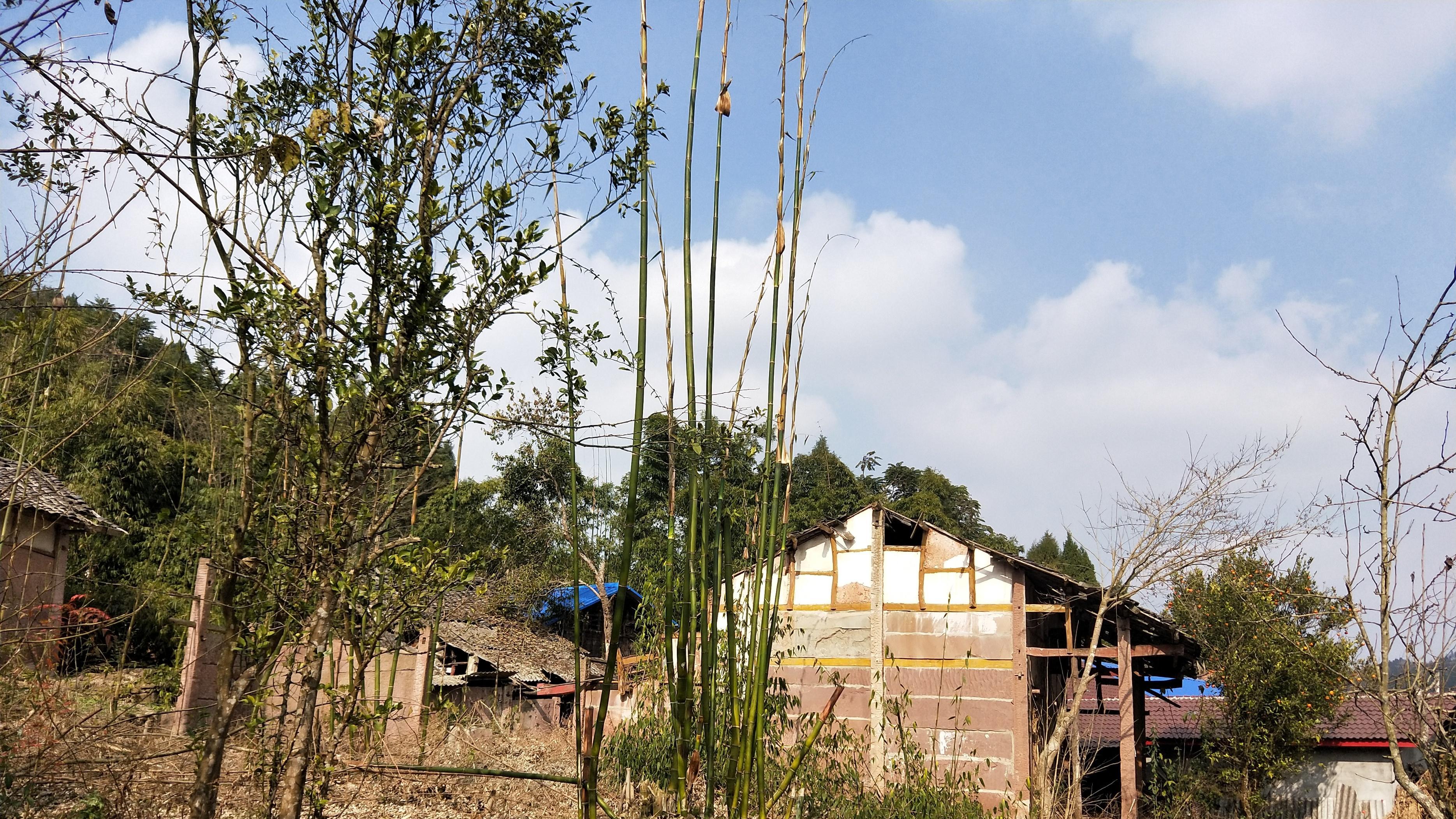 |无论行得再远，水脉滋润处，即是吾乡