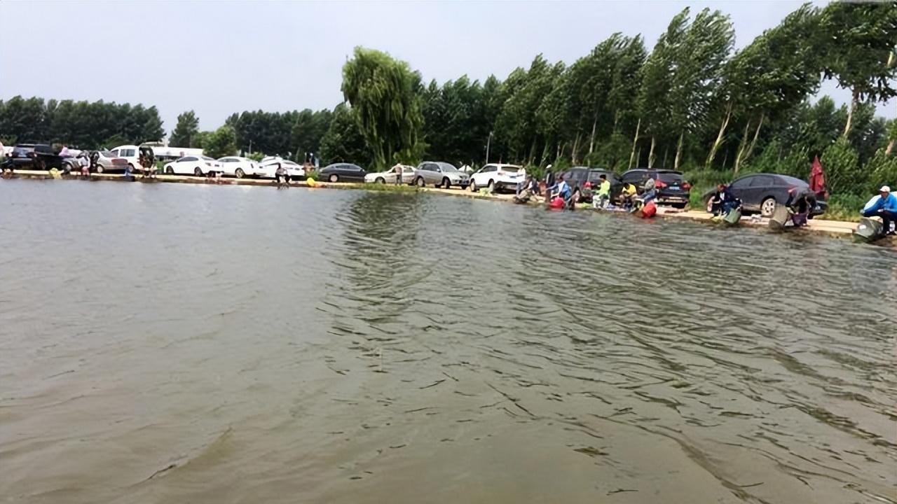 |揭秘钓鱼套路：就算得罪黑坑老板，也要让钓友知道这些“坑”招数