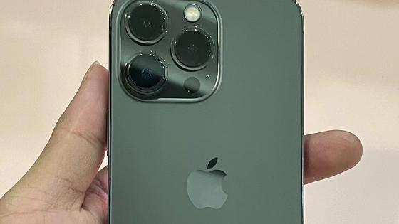 C++|粉丝买苍岭绿iPhone13Pro翻车，网友：激活日期、内存都不对！