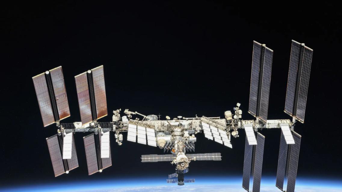 国际空间站发现在宇宙空间存活一年的细菌！但是全身都长了“疣”