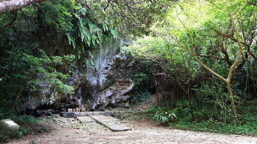 冲绳|日本南部的自然仙境，森林中的动人景致