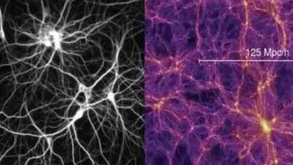 一个惊人的理论：宇宙星系和大脑神经十分相似，难道宇宙是活的？