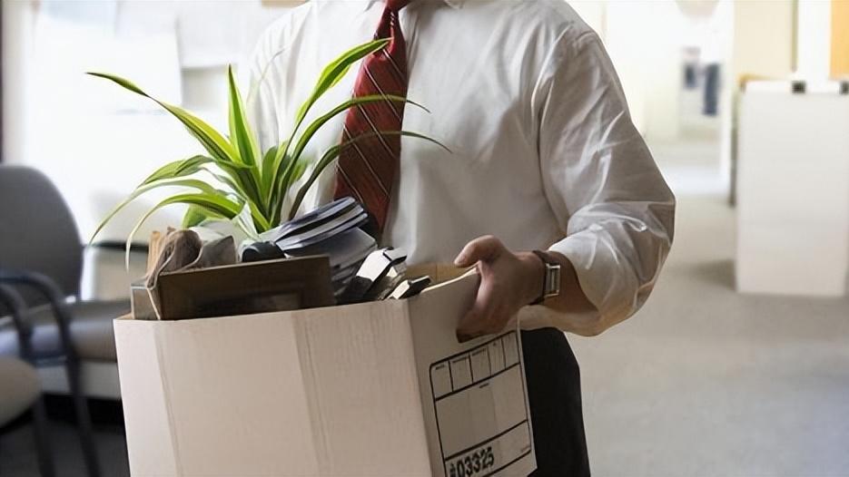 应届生|“上半年被毁约，下半年转正难”当下的应届生，找工作真的太难了