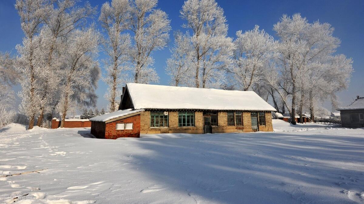 吉林省|本科54人、研究生19人！2022中国烟草吉林公司，毕业生录用公示榜