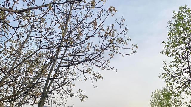 饵料|从西安出发30分钟，南山垂钓者的宝地，自助烧烤火锅食材鲜