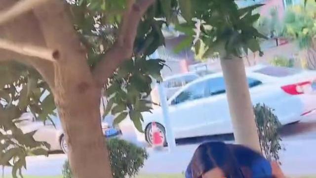 回顾女子穿裙子爬树，体验儿时乐趣，摘一颗果子递给树下的男闺蜜