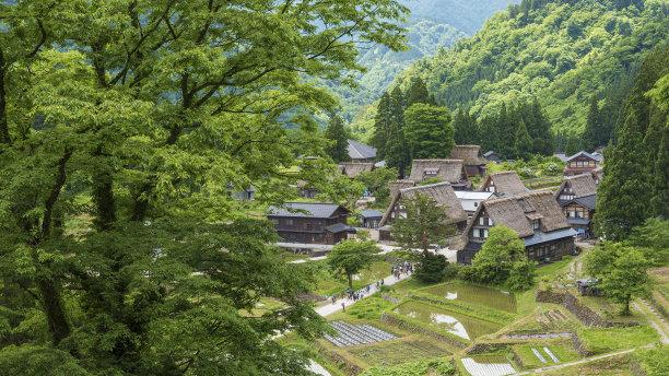 河北|日本“村内”乡村景致，村内乡土小景可通过“村内市”欣赏到