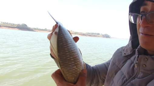 饵料|浅谈冬季野钓线组与抓口，粗了真的钓不到鱼？