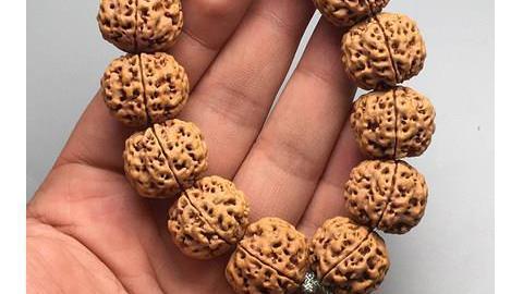 官窑|玩金刚菩提，这七个问题，你必须先搞清楚！