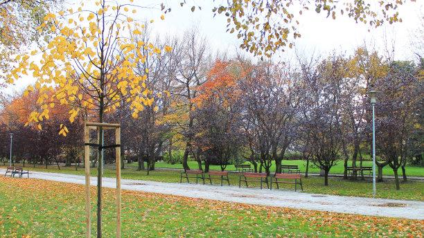 最早的人类祖先，曾经拥有最为原始的形态