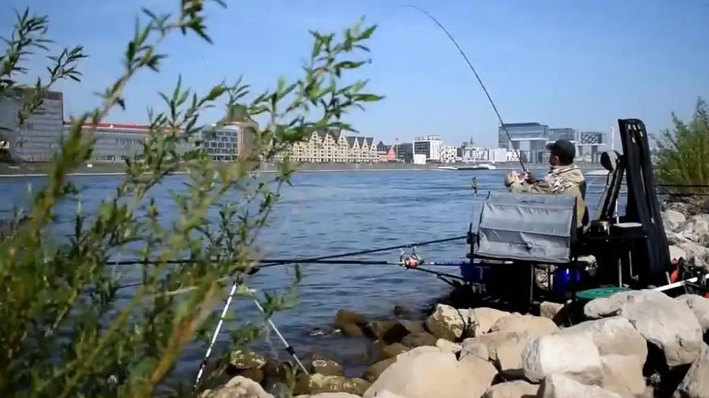 |秋天钓大鱼，怎么选钓位？选中几个点，钓得多也钓得大