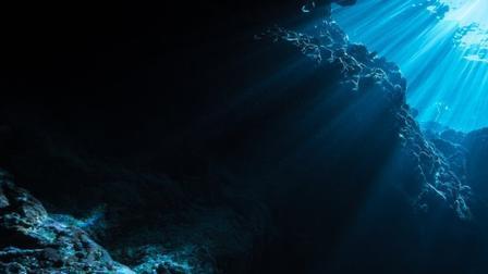 2022年科学家在海里发现的各路新物种！深海神奇动物又增加了！