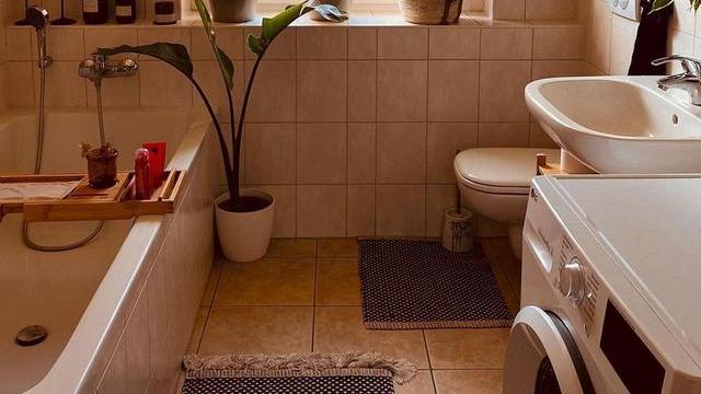 给家里多点绿！一个女孩住的丛林之家，绿野仙踪在都市里也能实现