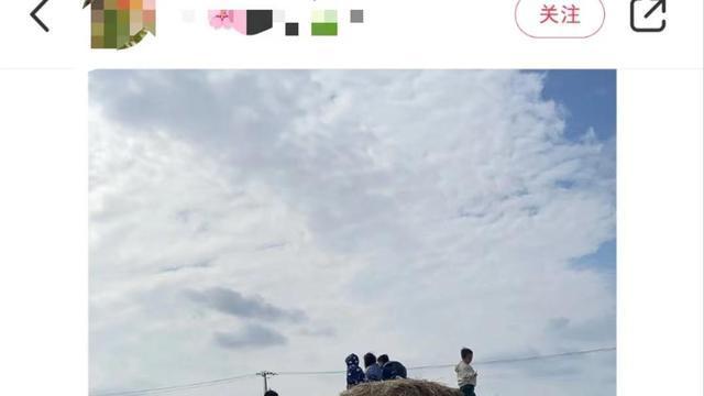 Angelababy|杨颖陪儿子下地割稻谷，打扮低调满脸宠溺，5岁小海绵长相酷似爸