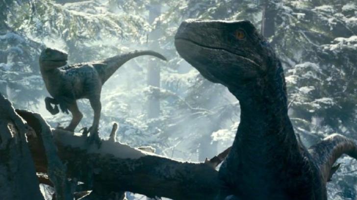 《侏罗纪世界3》定档，剧情更加精彩，恐龙们又回来了