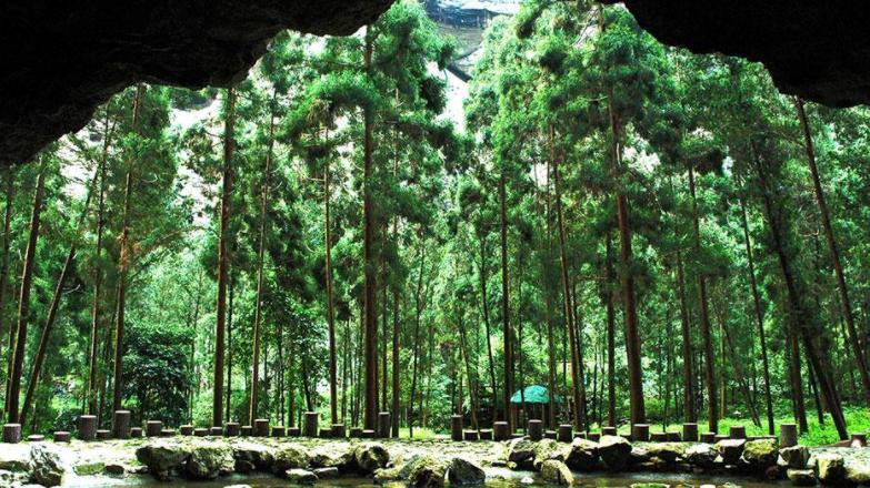庐山|游遍三山，感受山水的美好