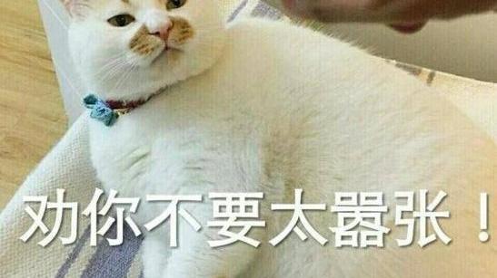 求职|成都一大专生找工作被辱骂，一个傻X的言论，听听罢了