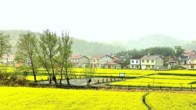 40岁光棍娶50岁大妈，因不能生育母亲反对，儿子：抱养一个也有后