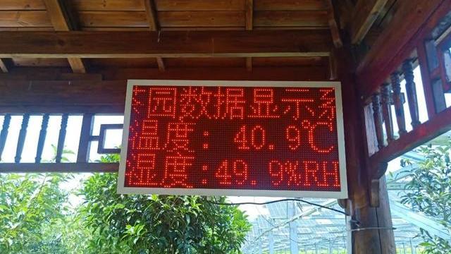 热化沥青！南方大量批发40度，三伏天该咋办？别怕，梅雨或来救场！