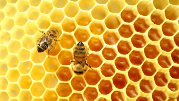 科学发展到另一个高度时，科幻场景将不再科幻。或许未来就是这样