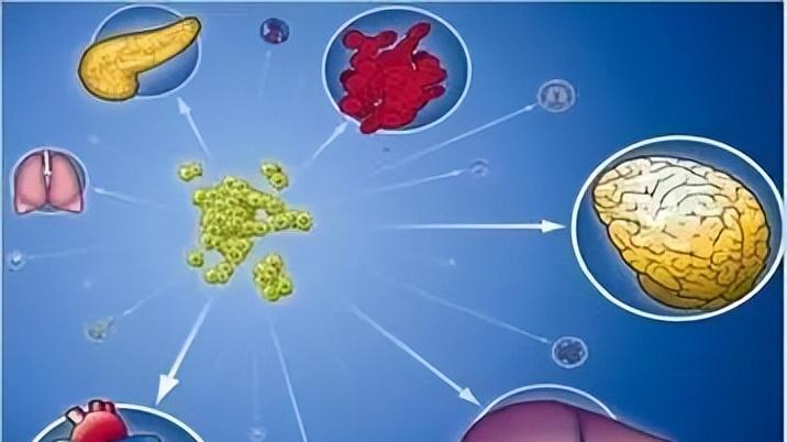 60万“返老还童”的干细胞注射是智商税还是黑科技？
