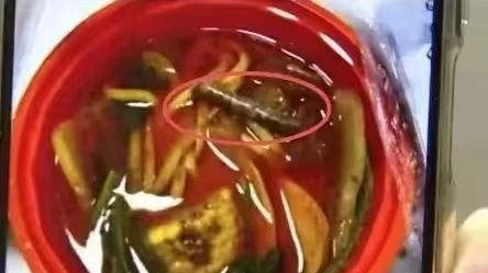 浙江杭州，女子线上点牛筋面，竟发现面上漂着一根香烟，卫生不达标还是有人栽赃？