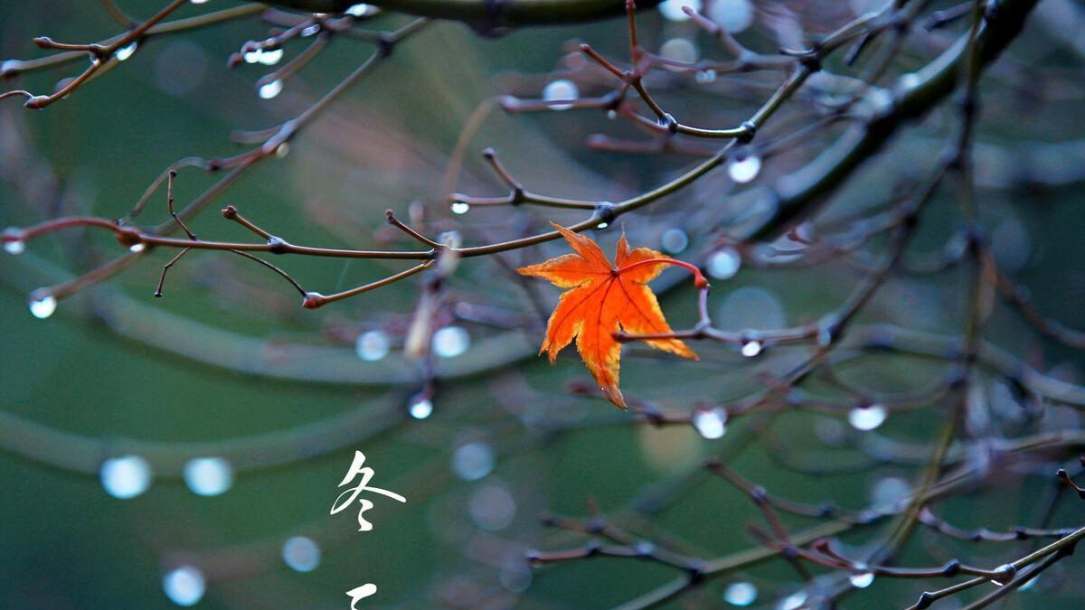 “冬至出日头，过年冻死牛”，过年冷不冷？来年庄稼收成如何？