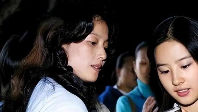 刘亦菲|曾打败周迅获得小龙女角色，获180万成人礼，刘亦菲为何失去专宠