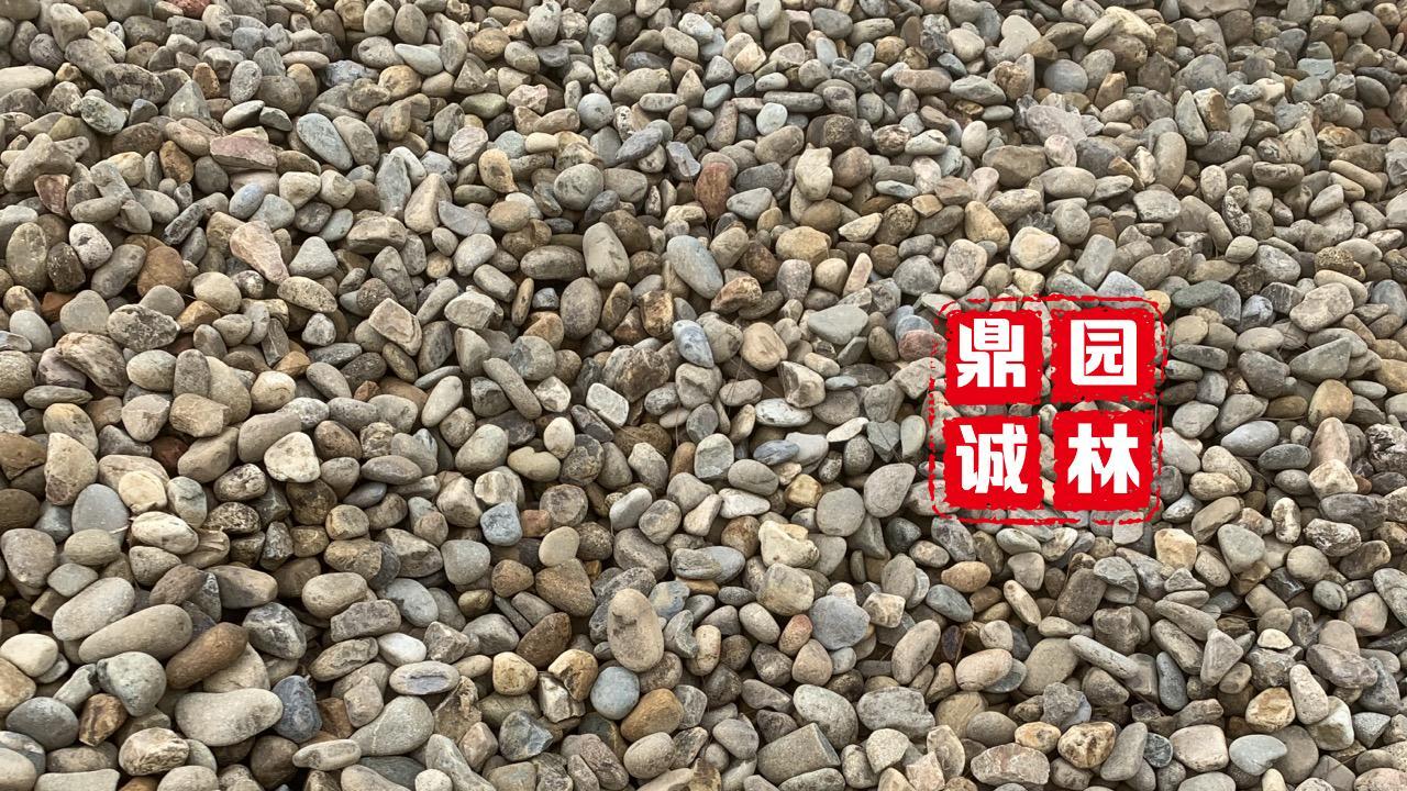 光雾山|鹅卵石有什么作用？庭院园景小区沿路铺设造景点缀小石头