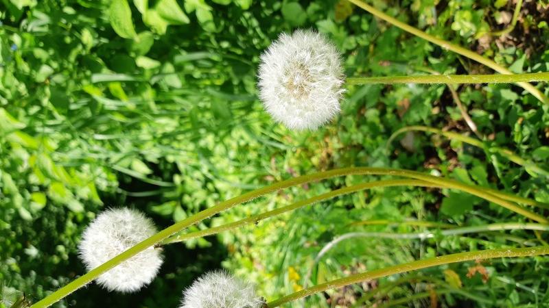 金牛座|这三个星座的人，不善于表达自己的内心情感