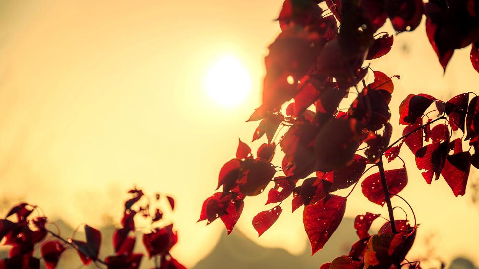 人类四季不分，冬季可能要回温？科学家：太阳喷射物正在冲向地球？