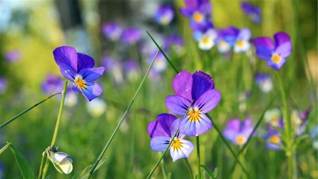 土豆|“初中没毕业的我，用15年时间终于在一线城市买了房”