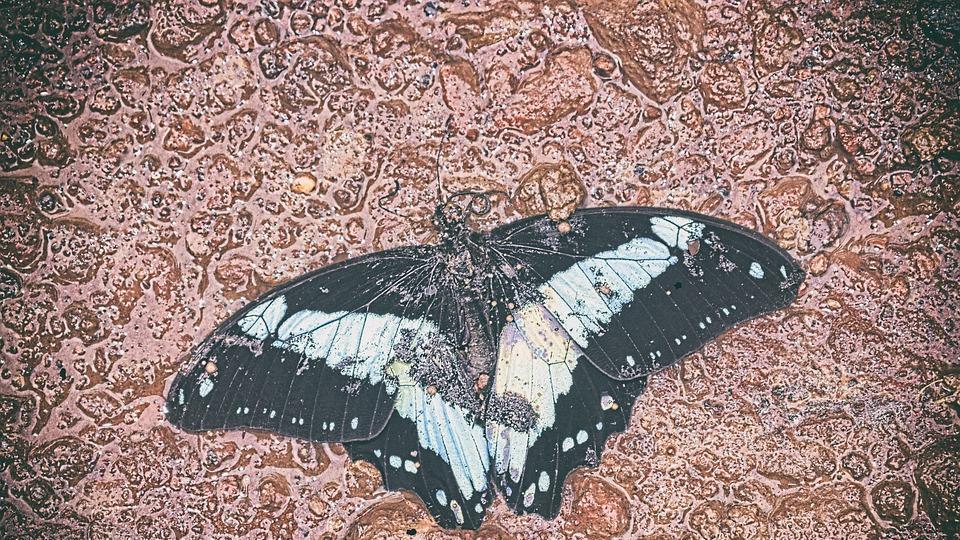 |有些职场新人，刚开始在新单位里工作的时候，可能会不适应