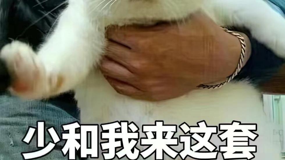 求职|大专生求职遭HR嘲讽：专科就是傻，只值200元！垃圾公司的3大表现