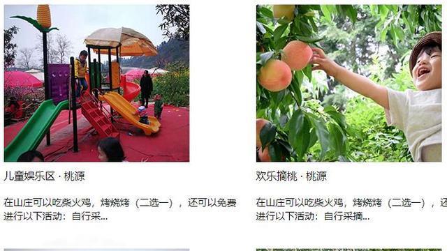 枇杷|可以免费看赏花和吃水果，桃源山庄和别的景区有点不同