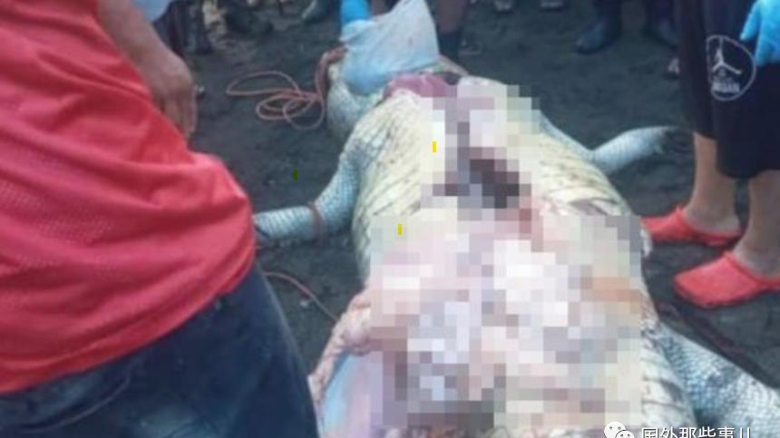 村民杀死3.6米长巨鳄，在其肚子里发现8岁童尸体