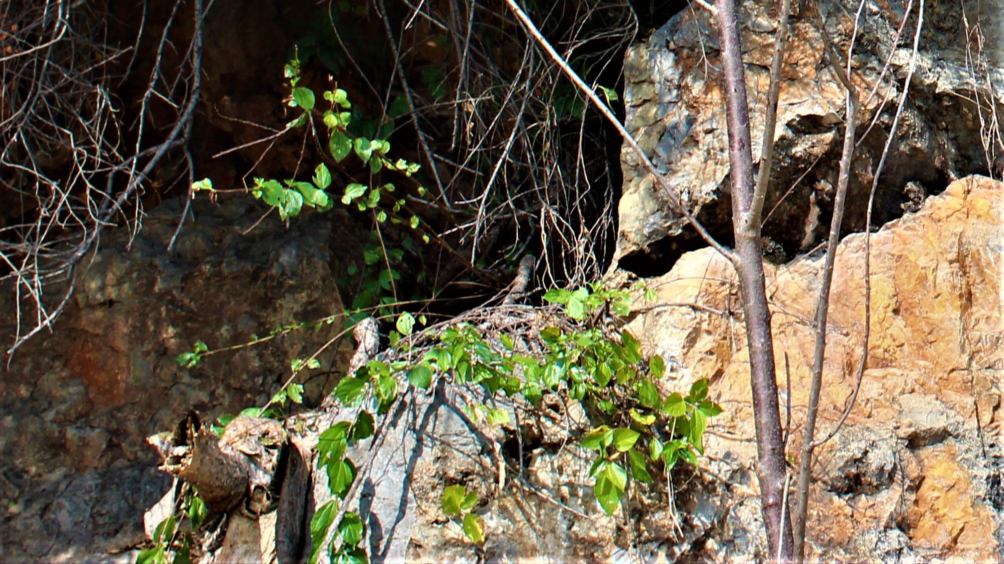 招聘|不是职场乐子人，又有点小郁闷