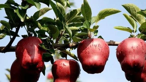 |走自己的路，每个人都是独特的