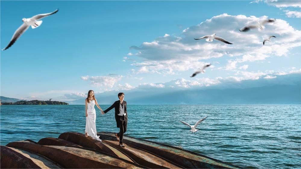 镇江|大理婚纱照与海鸥的邂逅，氛围感强的海鸥婚纱照，错过要再等一年