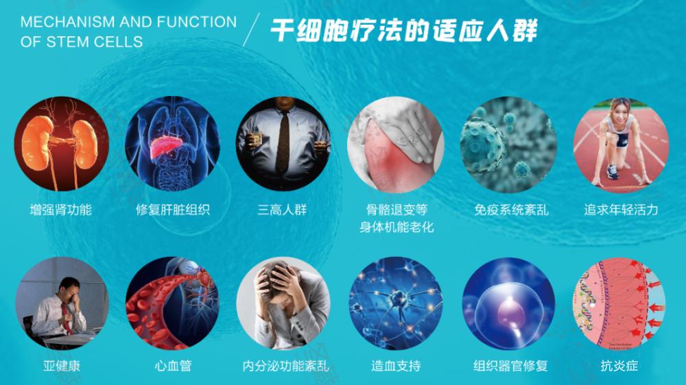 干细胞储存成热潮，到底是“智商税”还是造福人类的新希望？
