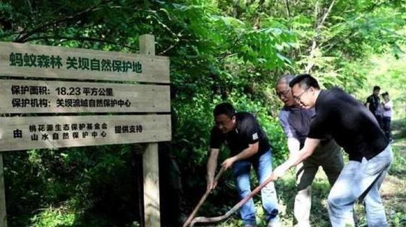 |马云承诺每年在沙漠里种树，如今6年过去了，沙漠已经变成这样