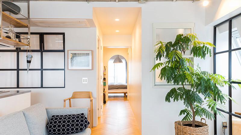 在装修家庭温室前，我们都要着重考虑那些问题？