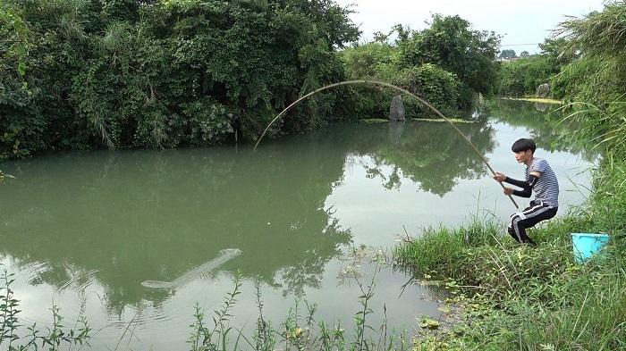 饵料|好好的钓鱼，结果却钓了一肚子的气，以后别再玩了