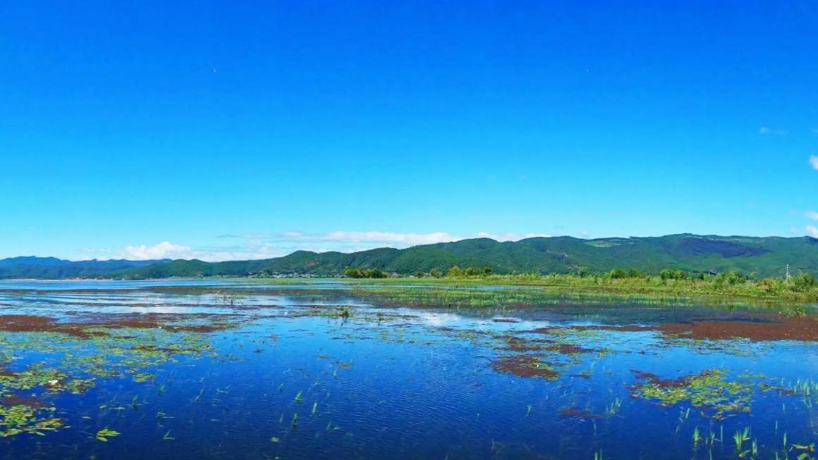 草原|丽江一个如画般的地方，这里景色优美。非常适合旅游。