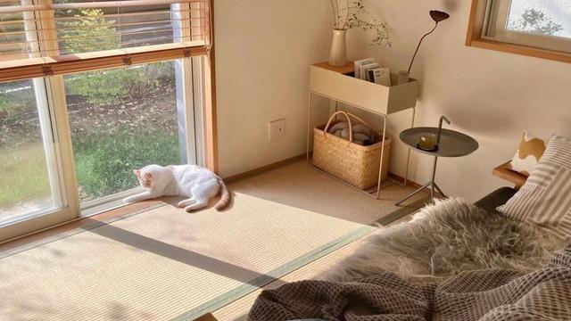 发现一位日本太太的家，全屋那叫一个治愈，不豪华但却精致温馨！