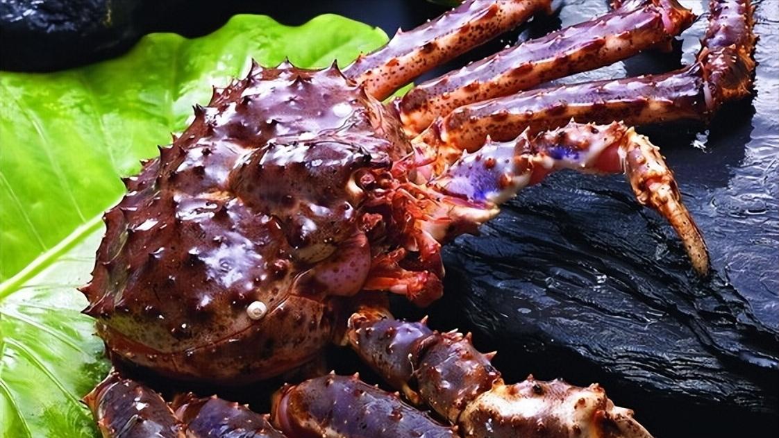 帝王蟹竟然不是螃蟹？冷知识中的“冷知识”，它居然是个虫子