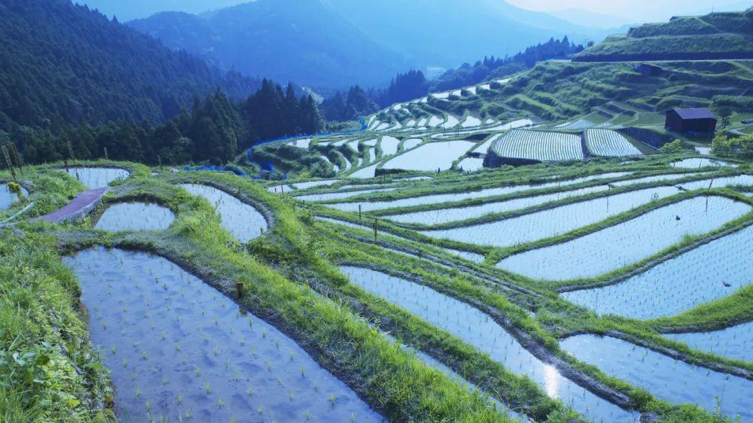 生肖|9月29日后，好运接二连三的3个生肖，鲤鱼跳龙门，人生大逆袭