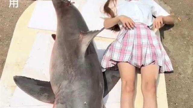 百万女网红翻车，警方认定她食用大白鲨，曾自作聪明写下人工养殖