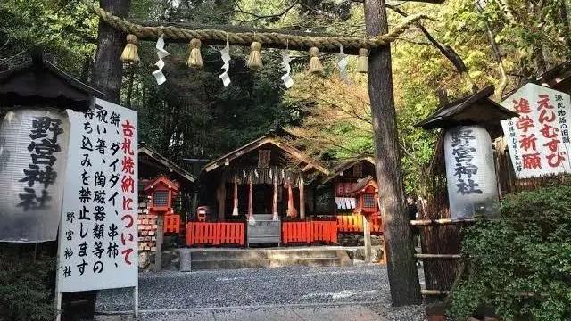 海边|一步神域，一步人间——日本特色“鸟居”简直美出了天际~